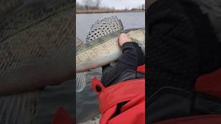 В поисках РЫБЫ_трофейный СУДАК #рыбалка #fishing #рыбалка2024