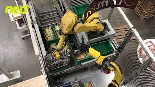 Kartoffel-Packroboter bei Fenaco