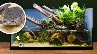 Riesiges DIY-Teich-Paludarium für kleine Wasserfrösche