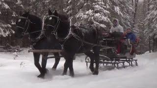 Rocking W Horse Drawn Sleigh Ride