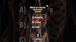 Ultimate Anatomy Quiz!