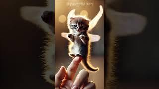 "Megical fantasy mini Cat Flaying on finger" Yayad Babah #trending #shorts #cute #animals #funny