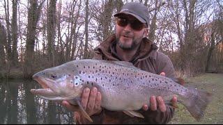 The Big Fish  FLY FISHING for HUGE Still Water Brown Trout  - Manningford Fishery