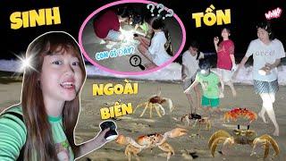 First Time Survival At Sea At Midnight | Team Ha Ha Hi Catches Wind Crab & Meets Strange Creatures!
