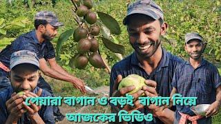 হাজারো পরিশ্রমের ফল 🫒 (সেই স্বাদ)  #farmer