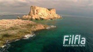 Filfla underwater documentary trailer