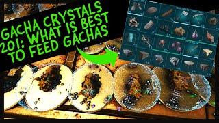 GACHAS 201: WHAT IS THE BEST AND WORST TO FEED GACHAS!!!! ITS NOT LIKELY WHAT YOU EXPECT!!!!!