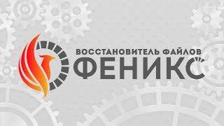 Феникс - обзор программы для восстановления файлов