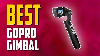 THE BEST GOPRO GIMBAL! (2021) | TechBee 2021