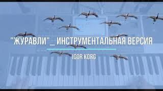 "Журавли" _ Инструментальная версия_ Igor Korg _ (Korg PA900)_ NEW 2021