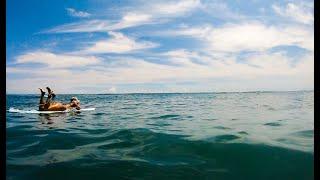 Taiwan's Surf Spots