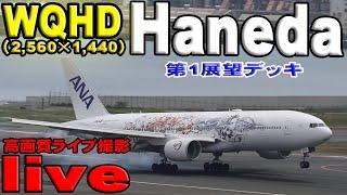 羽田空港 ライブ配信live WQHD（2,560×1,440）5月11日 展望デッキ Tokyo Haneda Airport Live Broadcast in Japan