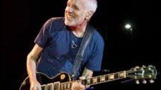 Peter Frampton - While My Guitar Gently Weeps - Festival de Viña 2008