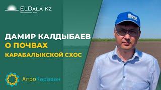 Дамир Калдыбаев о почвах Карабалыкской СХОС