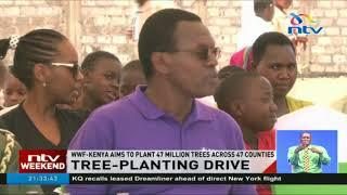 WWF-Kenya launches campaign to plant 47 million trees across the 47 counties