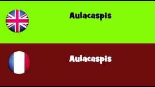 FROM ENGLISH TO FRENCH = Aulacaspis