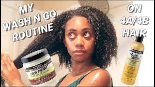 My 4A/4B Natural Hair WASH N GO Routine Using Aunt Jackie’s Products