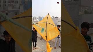 Big Kite In Makar Sankranti 2024🪁 #shorts #makarsankranti #kite #kitefestival