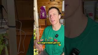 ТОП СОРТОВ ТОМАТОВ "БЕЗ НАПРЯГА"