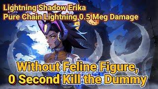 [ERIKA BUILD]Lightning Shadow Erika Pure Chain Lightning 0.5 Meg Damage, Without Feline Figure