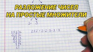 Разложение чисел на простые множители. Как разложить число на множители