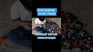  Возрождение после гибели. Случай реинкарнации