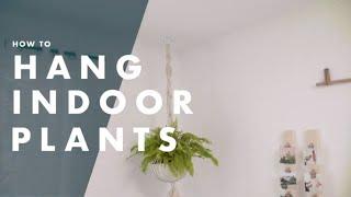 How To Hang Indoor Plants From the Ceiling - Bunnings Warehouse