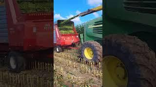 Chopping with the big John Deere #johndeere #farmer #agriculture #corn #farming #farm