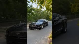 Adrenaline Beats Shorts •CAR•