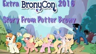 PotterBrony's Additional BronyCon Story About Meeting the Mane Cast