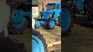 #mtz82 #бездорожье #колхоз #мтз80 #мтз82 #сельскоехозяйство #техника #трактор #тракторист #mtz80