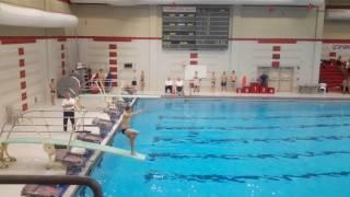 1m diving 103b