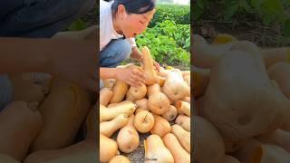 I Have Never Seen Such A High Yielding Sweet Pumpkin Before -Amazing Pumpkin Cutting #shorts