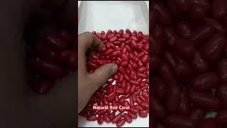 Natural Red Coral || Moonga Stone In Wholesale Price #coral