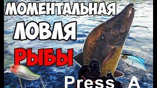 МОМЕНТАЛЬНАЯ РЫБАЛКА В ARK! НОВАЯ ПРИМАНКА ДЛЯ РЫБАЛКИ!( ФИШКА СЕРВЕРА) ► Ark: Survival Evolved #9