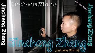 Jincheng Zhang - Ditch I Love You (Background Music) (Instrumental Song) (Official Audio)