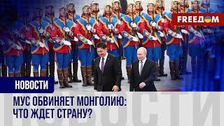 ️️ Монголия не арестовала Путина: МУС обвинил страну в неисполнении ордера на арест