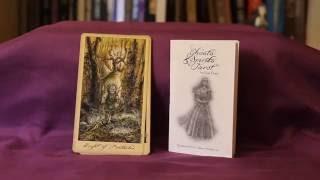 Ghosts & Spirits Tarot Full Flip Through