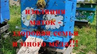 Ч. 2.  НЕТ РАСПЛОДА -- НЕТ ПРОБЛЕМ И МНОГО МЁДА!!!  РЕАЛЬНАЯ ДЕЙСТВУЮЩАЯ АКСИОМА В ПЧЕЛОВОДСТВЕ !!!