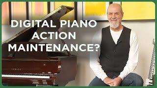 Digital Piano Actions EXPLAINED