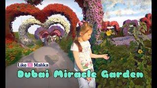 Парк цветов в Дубай на Лайк Малика |  Dubai Miracle Garden on Like Malika