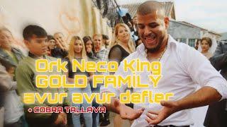 Ork Neco King Gold Familija ŞTİP  COBRA TALLAVA + AVUR AVUR DEFLER 2024