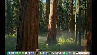 How to Install Nixi AI as a Desktop App on Safari (Mac Guide)