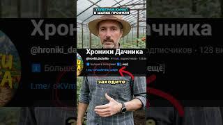 Большинство дачников используют яичную скорлупу неправильно #огород #сад #дача