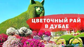 50 млн Цветов в Пустыне! Сад цветов и парк чудес в Дубае.Dubai Miracle Garden