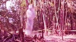 Pocong sangean