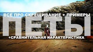 Black Desert - Все про скрещивание питомцев, примеры, сравнительная характеристика