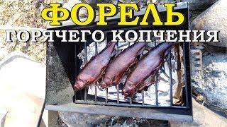 Форель горячего копчения. Рецепт приготовления.