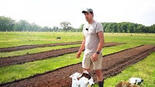 Pro Grow Tips For Growing The BEST Blueberries!