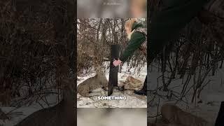 She Freed a Wild Bobcat, and What Happened Next Was Beautiful